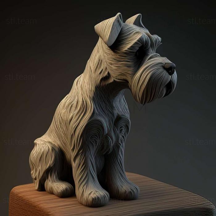 Zwergschnauzer dog